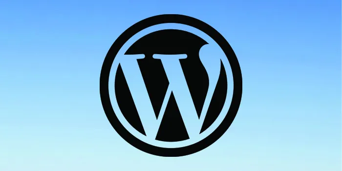 WordPress Theme Detector Tool